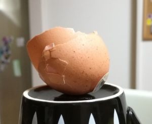 卵の殻